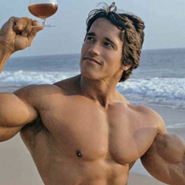 L'immense carrière de Arnold Schwarzenegger